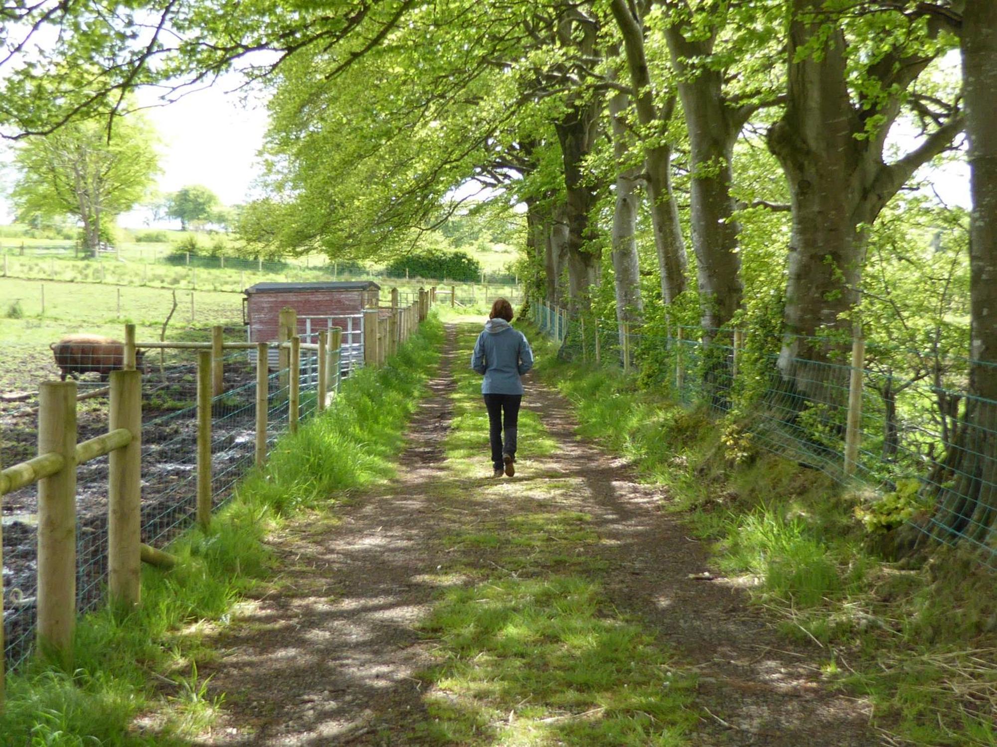 Ballylagan Organic Farm Straid  Habitación foto